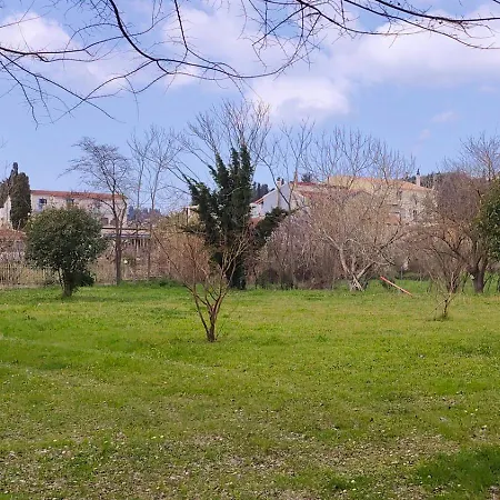 Condesa Sidárion